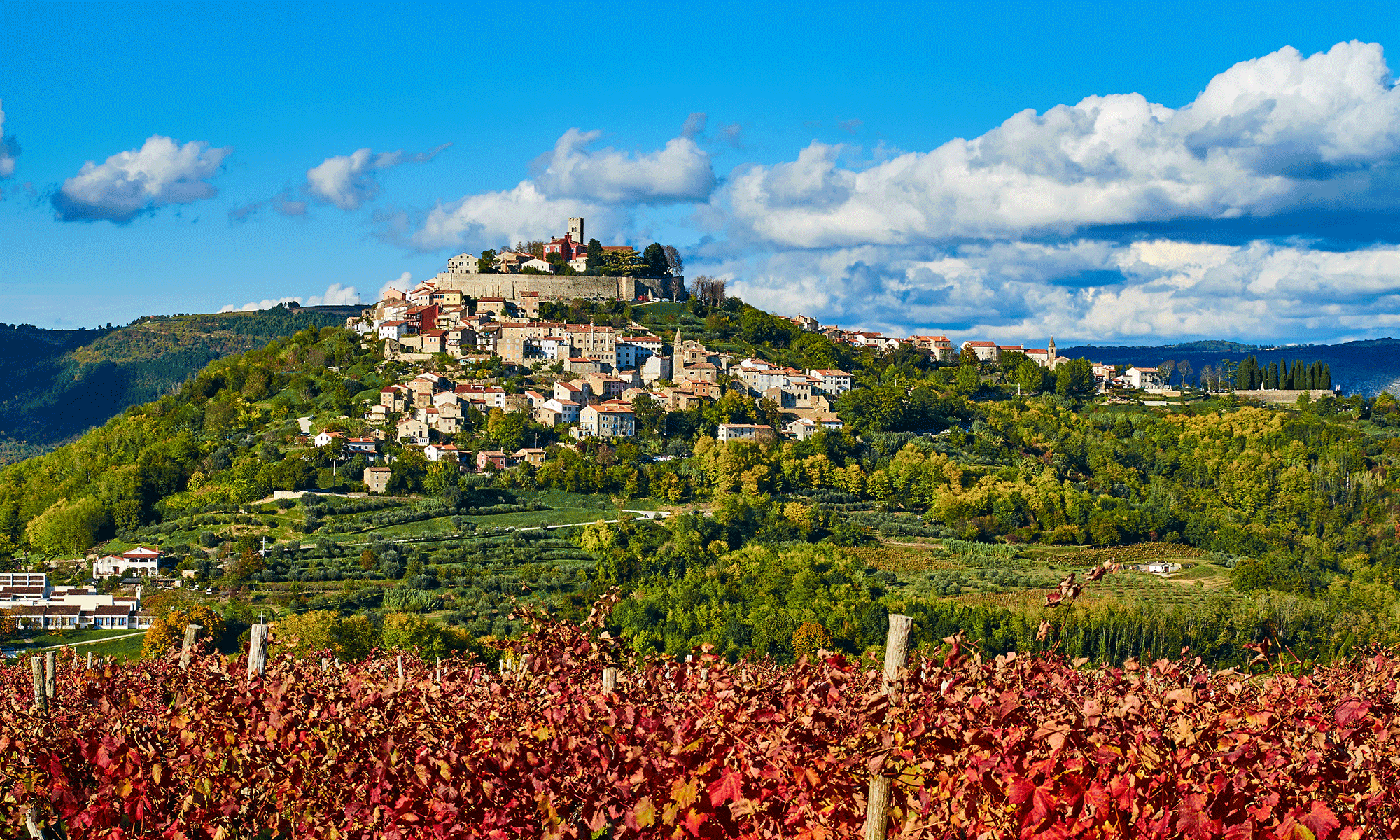 Motovun